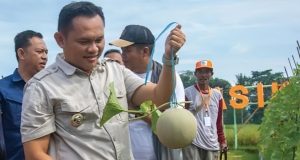 Wisata Agro Potensial Dikembangkan. Pertanian Berbasis Digital Diharapkan Bisa Menjadi Solusi Atasi Pengangguran