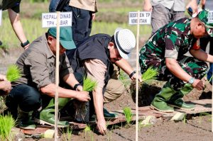 Gerakan Tanam Padi, Jaga Stabilitas dan Ketersediaan Pangan