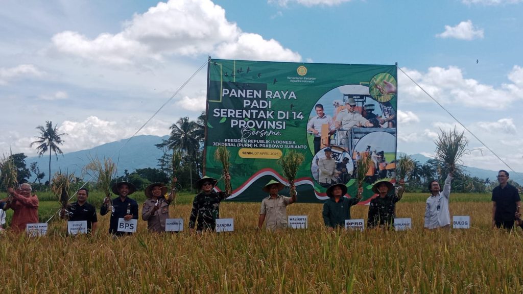 Ikuti Panen Raya Padi Serentak Bersama Presiden, Walikota Sebut Optimalisasi Lumbung Padi dan Teknologi Pertanian