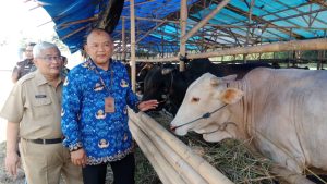 Perketat Pengawasan Hewan Kurban, Jamin Kesehatan Masyarakat