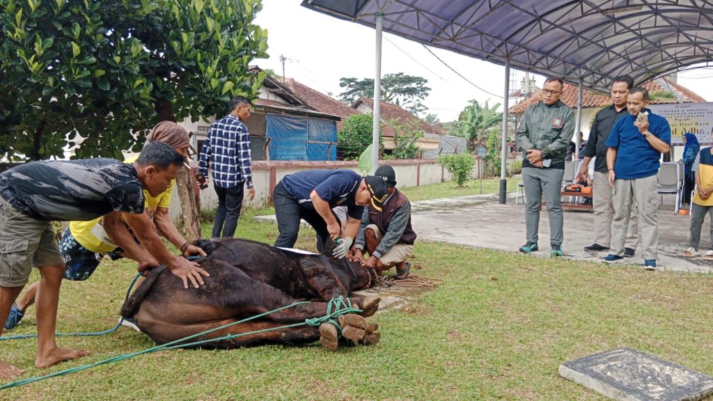 Momentum Kurbankan Sifat Hewaniah, Pimpinan dan Anggota DPRD Laksanakan Ibadah Kurban