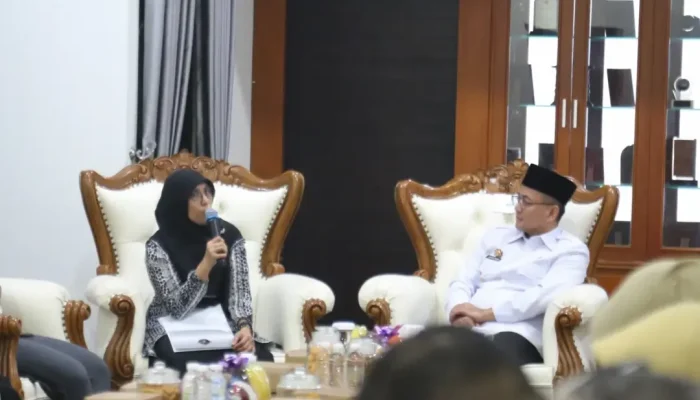 Entry Meeting Pemeriksaan BPK RI, Tingkatan Kualitas Tata Kelola Keuangan