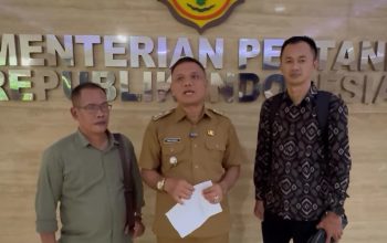 Godzilla El Nino Ancam Sektor Pertanian, Siapkan Langkah Antisipasi