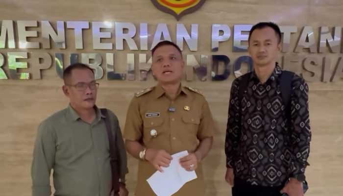 Godzilla El Nino Ancam Sektor Pertanian, Siapkan Langkah Antisipasi