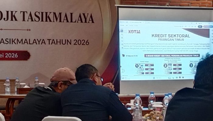 NPL melampaui threshold, Sektor UMKM Tertekan