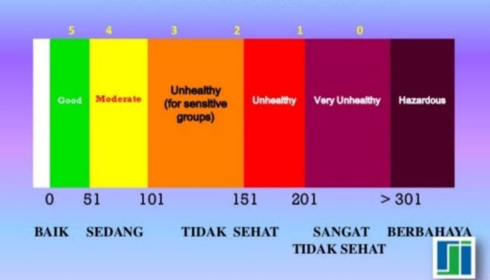 10 Kota dengan Kualitas Udara Terbersih di Indonesia, Kabupaten Tasikmalaya Paling Bersih